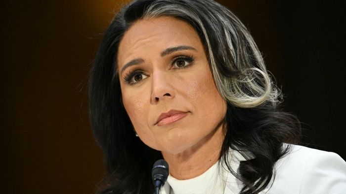 Тулси Габбард утверждена главой Нацразведки: Сенат США одобрил кандидатуру