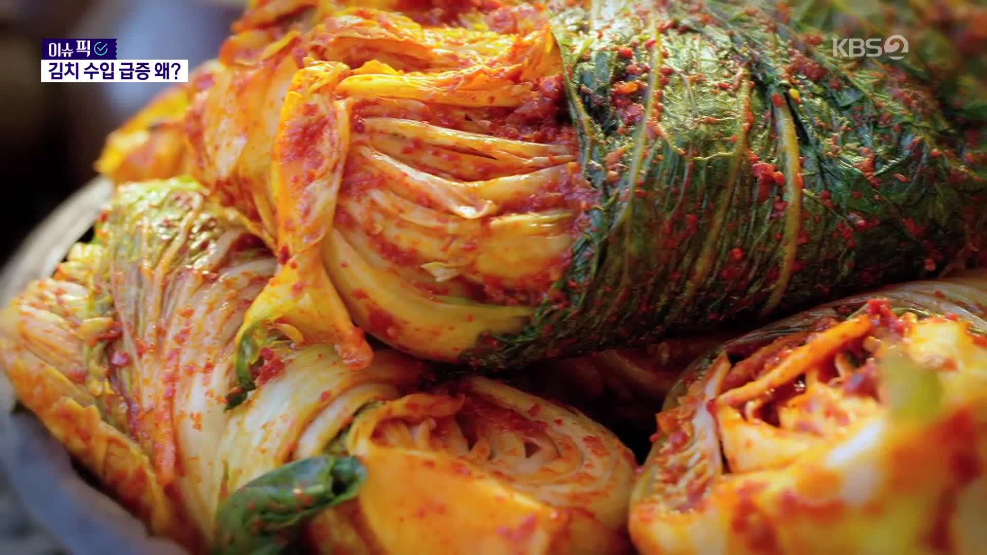 충격적인 '알몸 김치' 논란은 옛말? 중국산 김치 수입 급증에 한국 김치 산업 '빨간불'