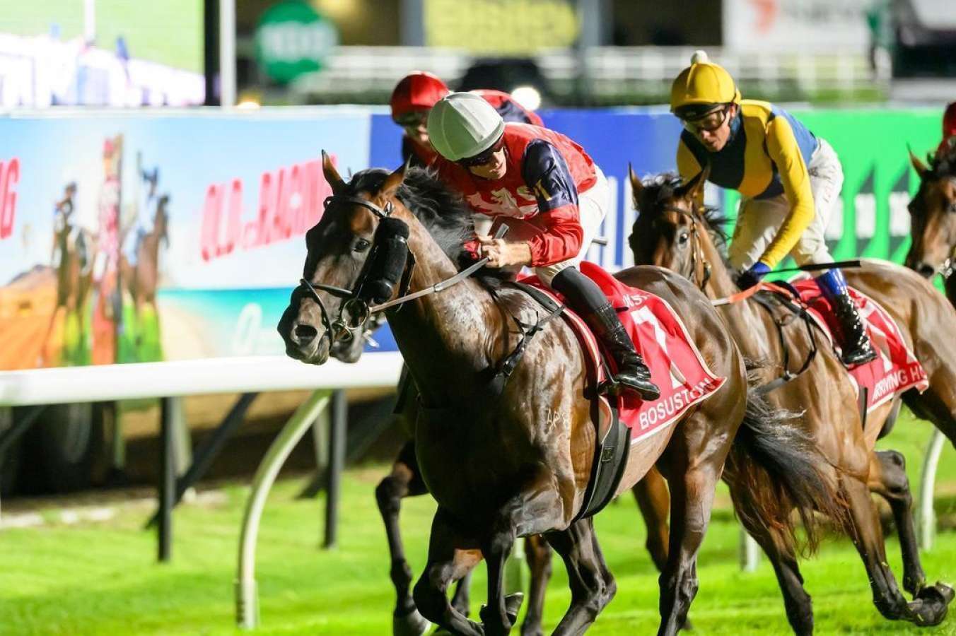 Four futures bets for the Brisbane Winter Carnival