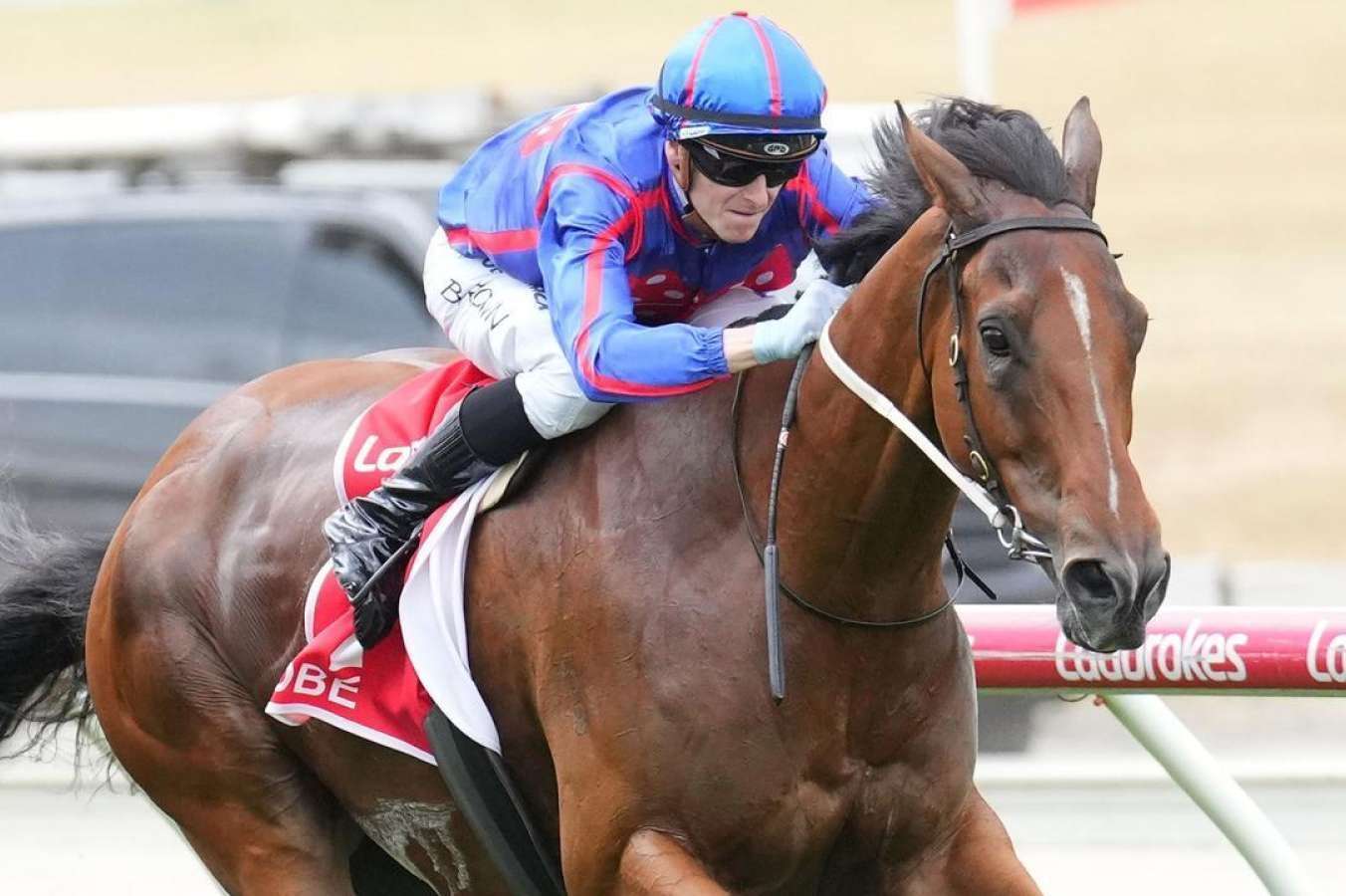 Globe Set to Shine: Anxious Star Eyes Interstate Travel After Victoria Handicap