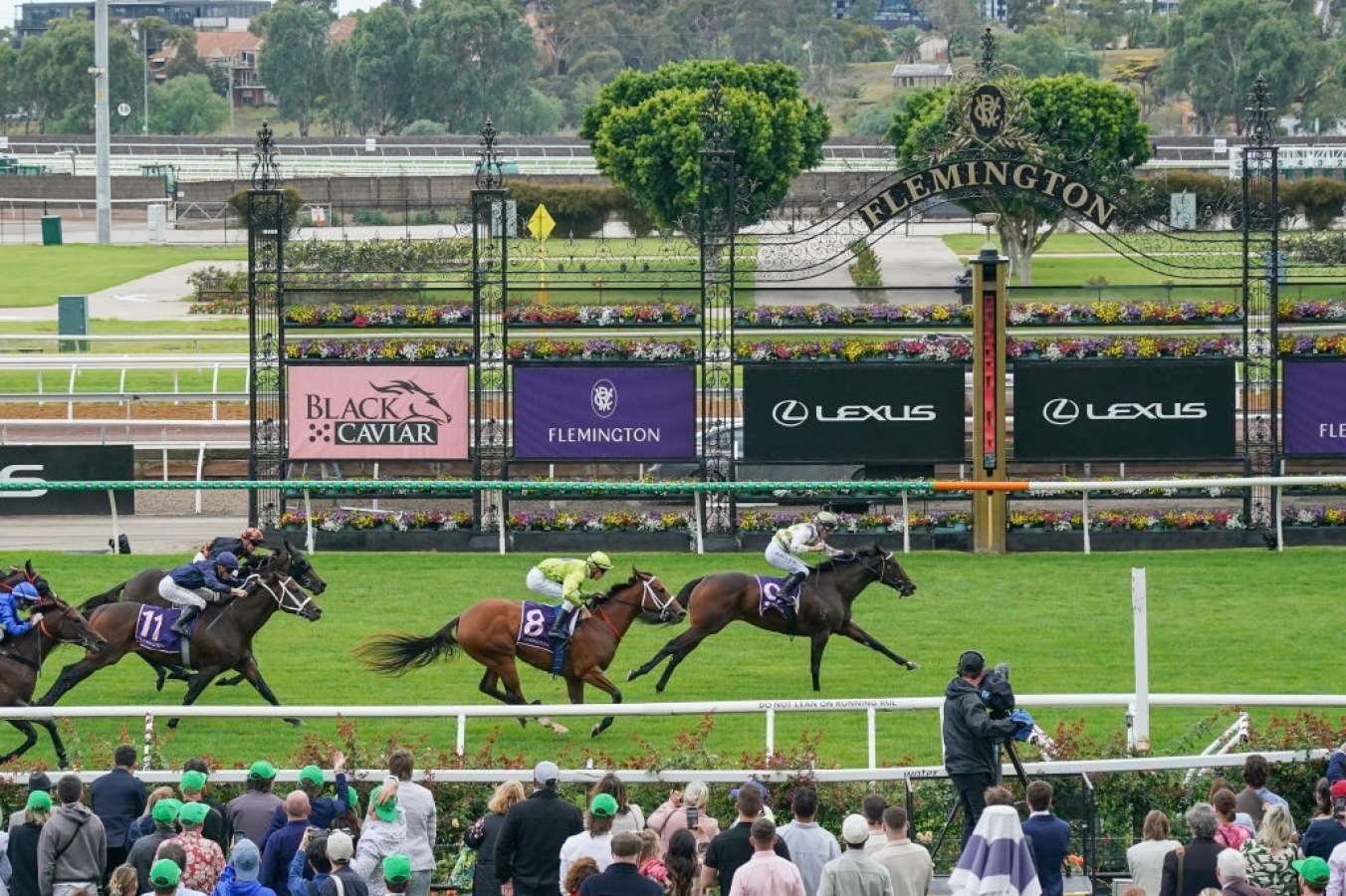 G1 Black Caviar Lightning Day Recap: Highlights and Lowlights from Australian Racing