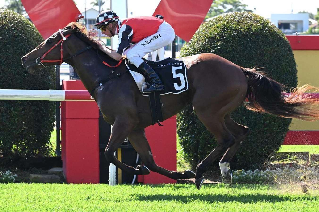 The Inflictor Dominates at Doomben, Primed for 2025 Stradbroke Handicap!