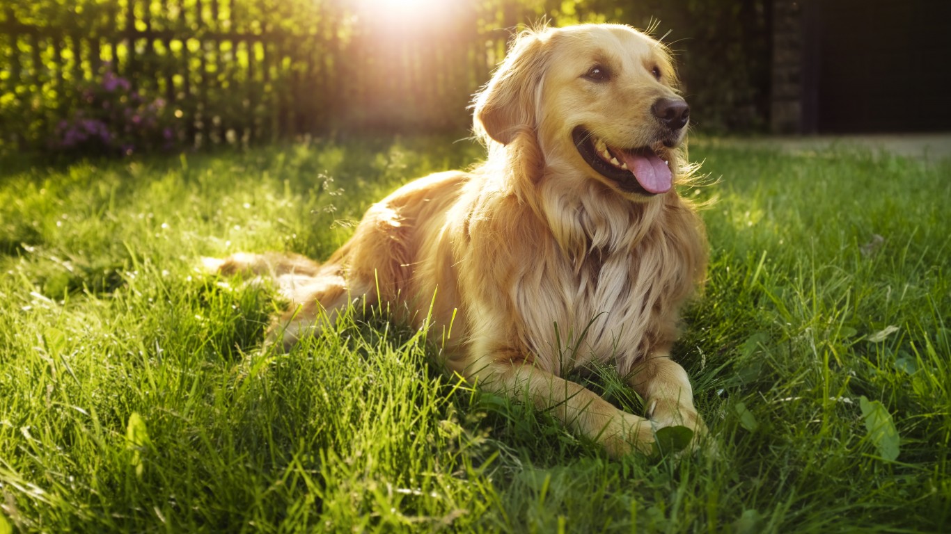2 Strong Buy Technology Dogs of the Dow, Up 15% and 33%, Are Crushing the S&P 500
