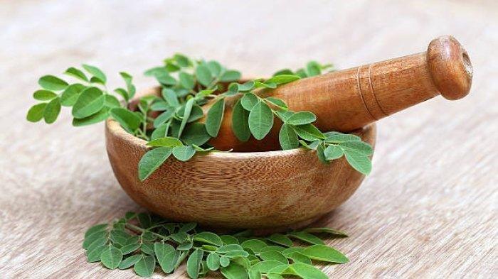 5 Manfaat Luar Biasa Minum Rebusan Daun Kelor untuk Kesehatan