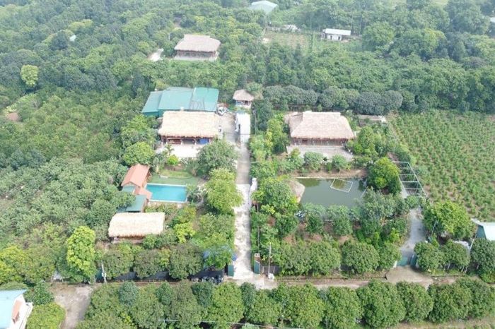 Hà Nội: Hướng dẫn xác định nghĩa vụ tài chính thuế thu nhập cá nhân và thu từ đất