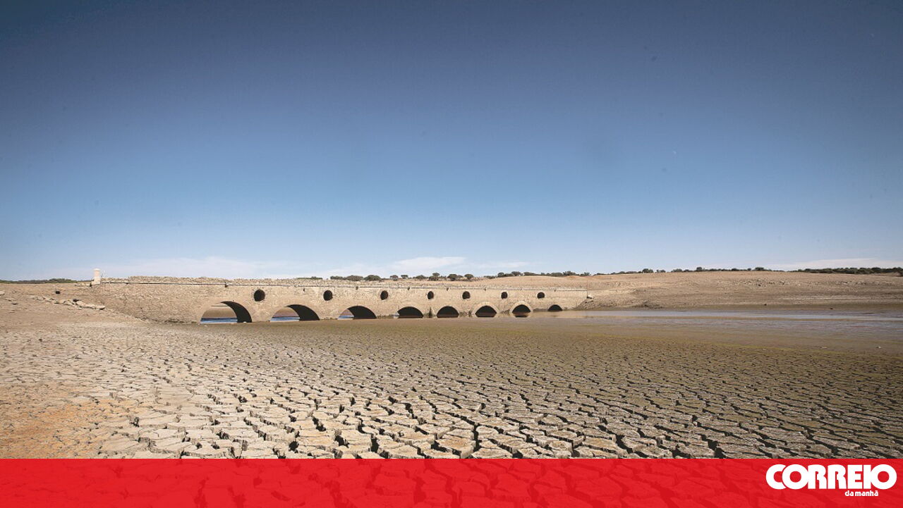 Crise Climática: Uma Emergência de Saúde Pública Urgente, Alerta OMS