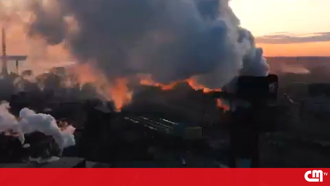 Reduzir a Poluição Atmosférica: Como a Tecnologia e Mudanças de Comportamento Podem Salvar Vidas