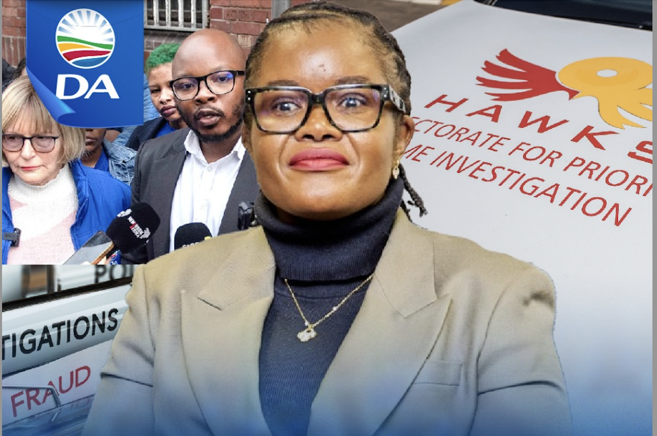 DA backs call for an independent inquiry and lifestyle audits for all senior SAPS officials