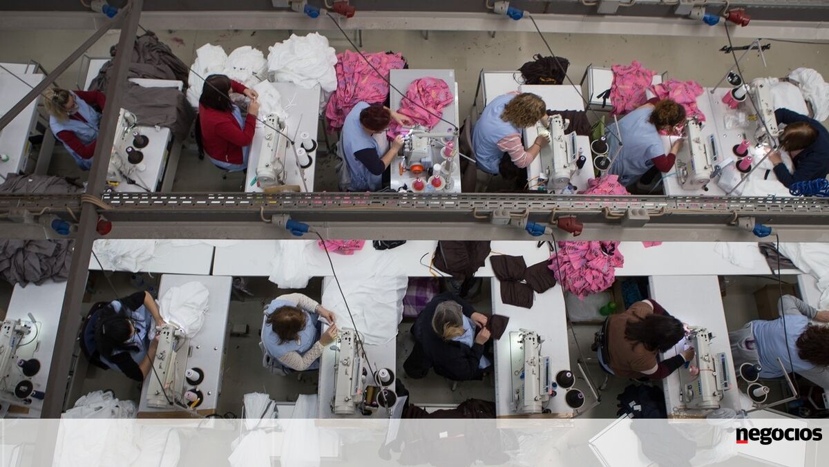 Evolução dos Salários em Portugal: Quem Ganhou e Quem Perdeu Poder de Compra