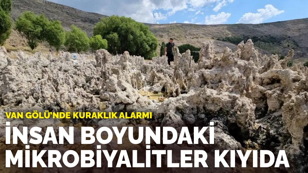 Van Gölü'nde kuraklık alarmı: Mikrobiyalitler ortaya çıktı, bazıları insan boyuna yaklaştı