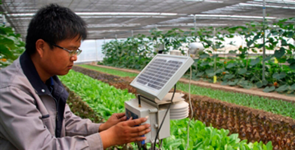 China Impulsa la Agricultura Hondureña con Tecnología y Apoyo Educativo: Un Futuro Prometedor para el Sector
