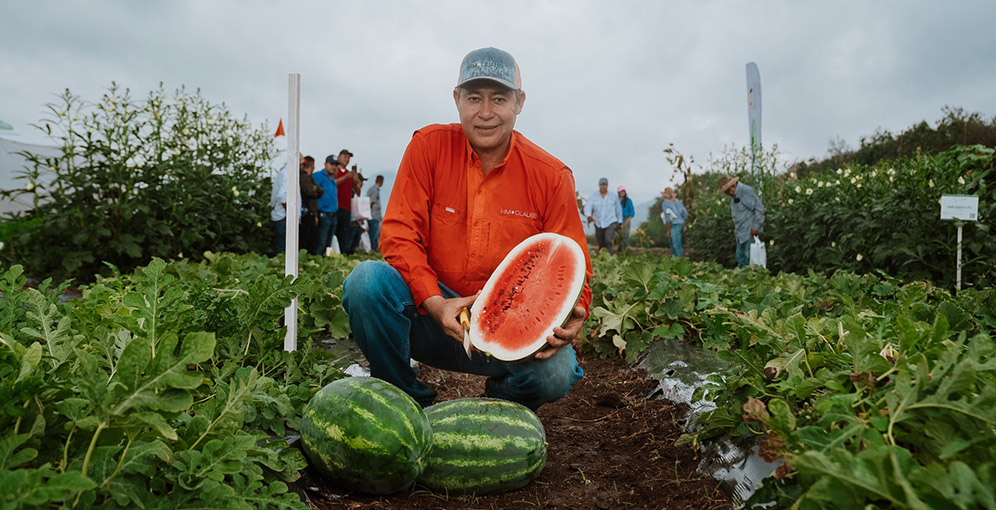 Cohorsil Impulsa el Futuro de los Cultivos Hortícolas: Innovación y Tecnología en un Día de Campo Inolvidable