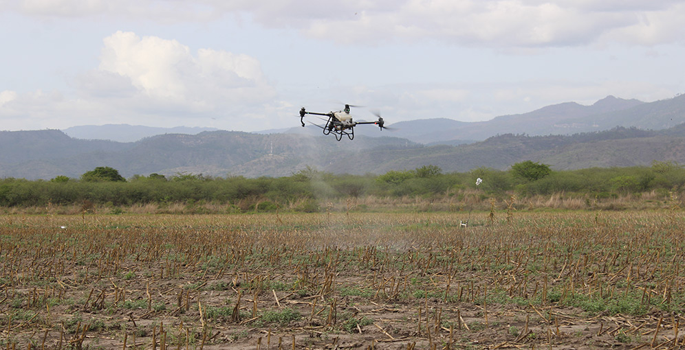Bayer y Agroindustria El Corral: Le apuestan a la transformación del agro con tecnología, sostenibilidad y visión empresarial