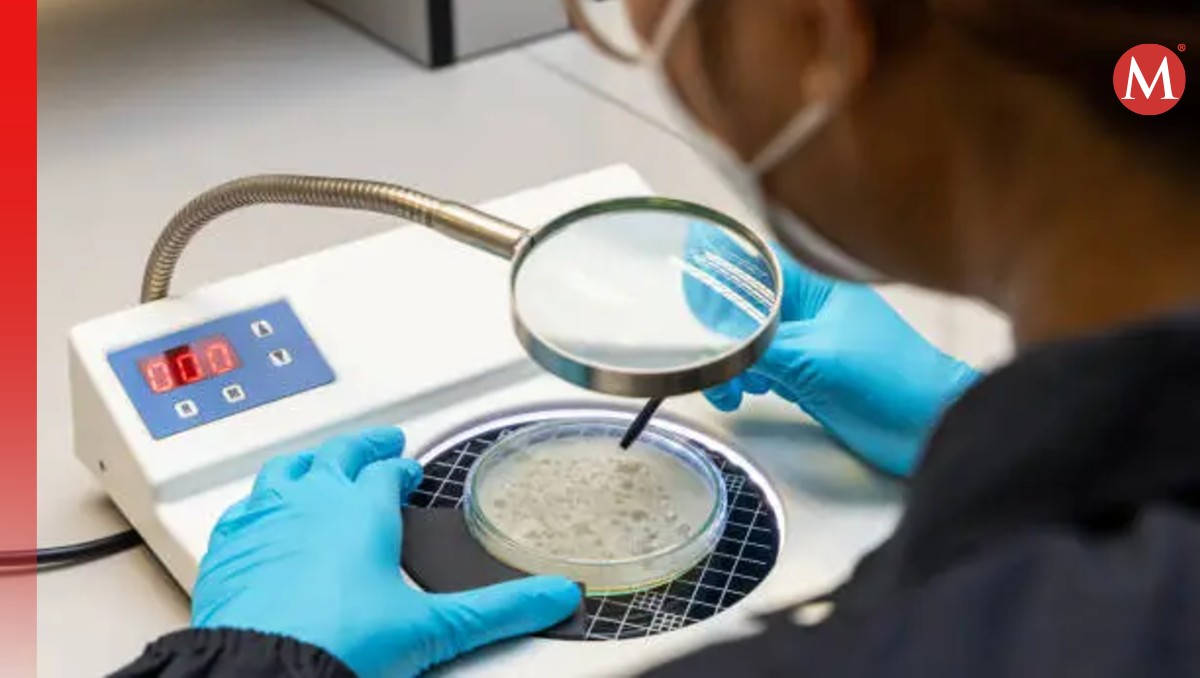 Revolución en el tratamiento de infecciones vaginales: UAQ presenta innovadora tecnología