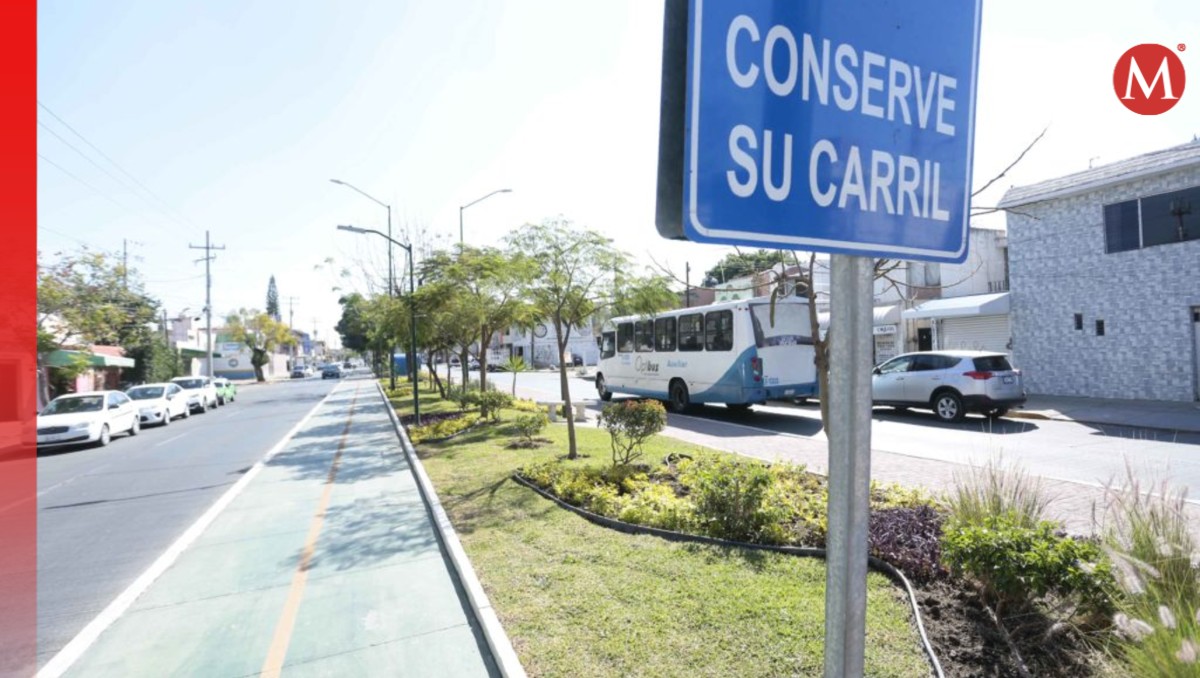 León se prepara para ampliar su red de ciclovías: 100 kilómetros más para fomentar la movilidad sostenible
