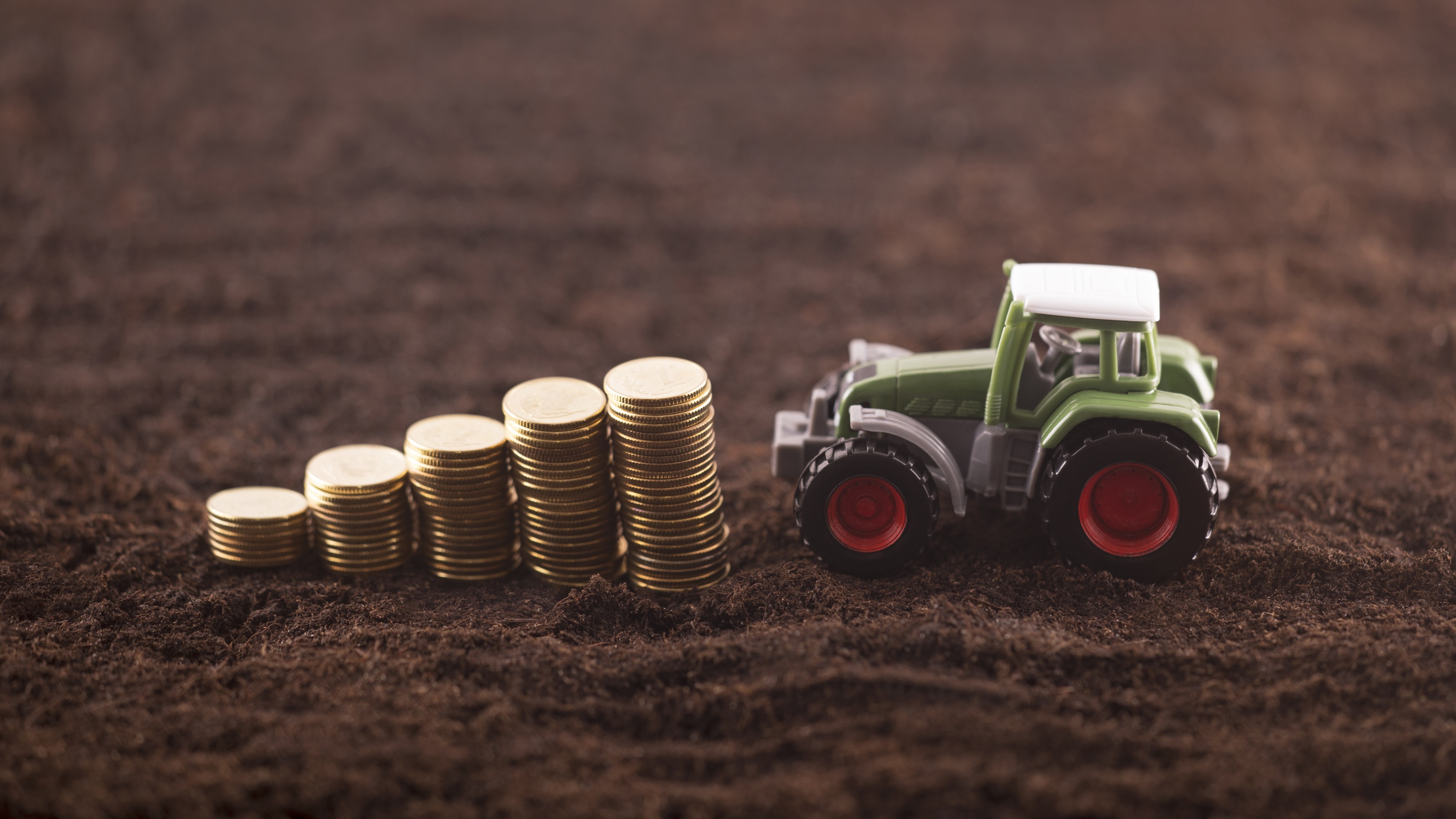 Technology Unleashes the Power of Year-Round Tax-Loss Harvesting
