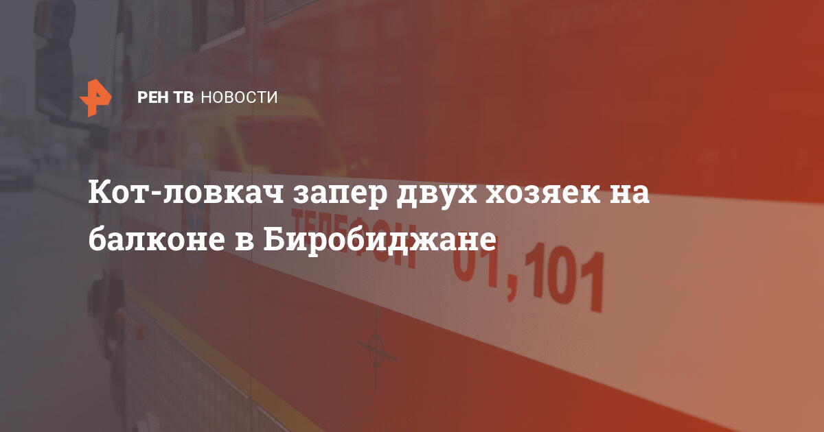Кот-ловкач в Биробиджане: два хозяина заперты на балконе!