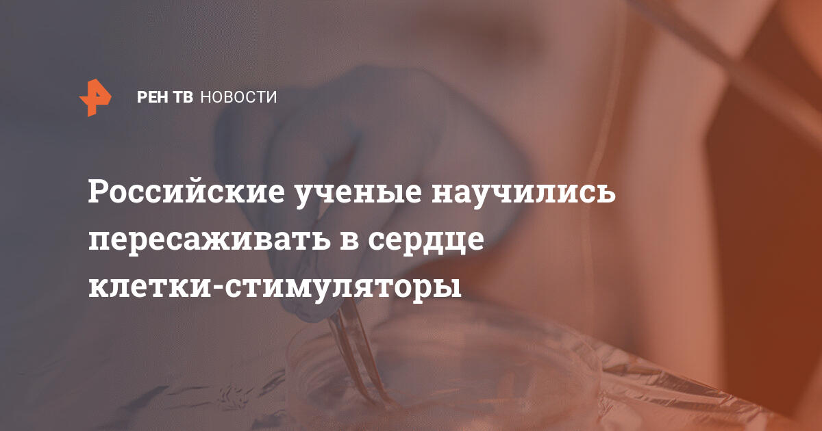 Революция в кардиологии: российские ученые открыли способ пересадки клеток-стимуляторов в сердце