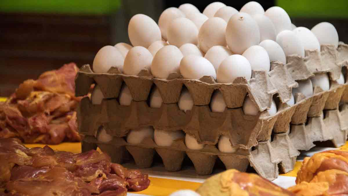 Gripe Aviar en México: ¿Se Puede Comer Pollo o Huevo de Forma Segura?