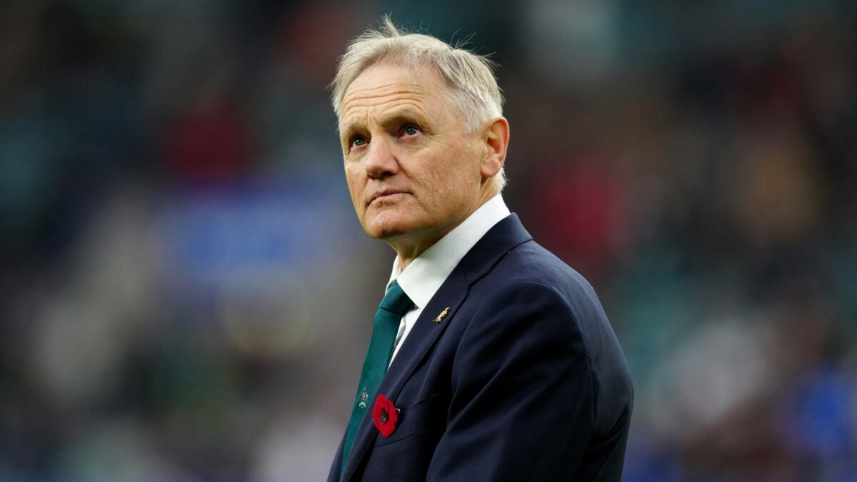 Wallabies Left in Limbo: Joe Schmidt's Future Uncertain Amidst Lions Series