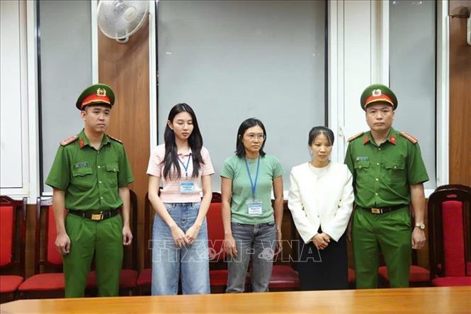 Người Nổi Tiếng Cần Tuân Thủ Pháp Luật Nghiêm Ngặt: Lời Nhắc Nhở Từ Đại Biểu Quốc Hội