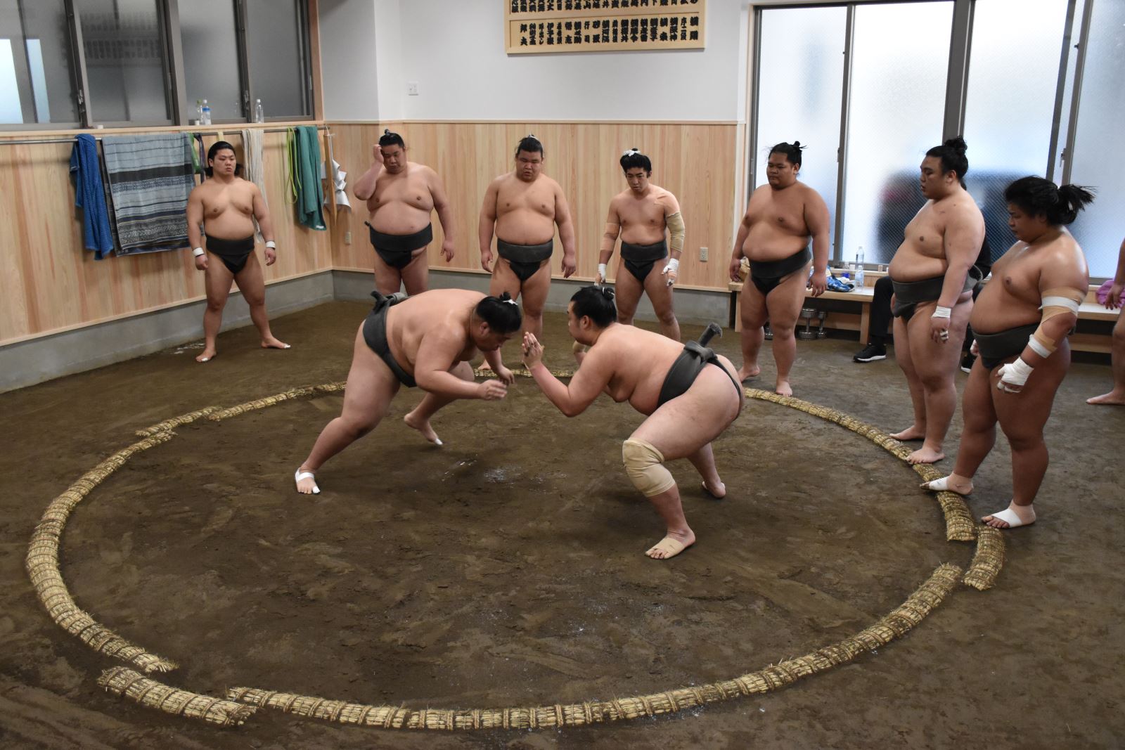 Sumo: Biểu tượng Thể thao Nhật Bản đối mặt với tương lai bất ổn sau sự ra đi của Hakuho?