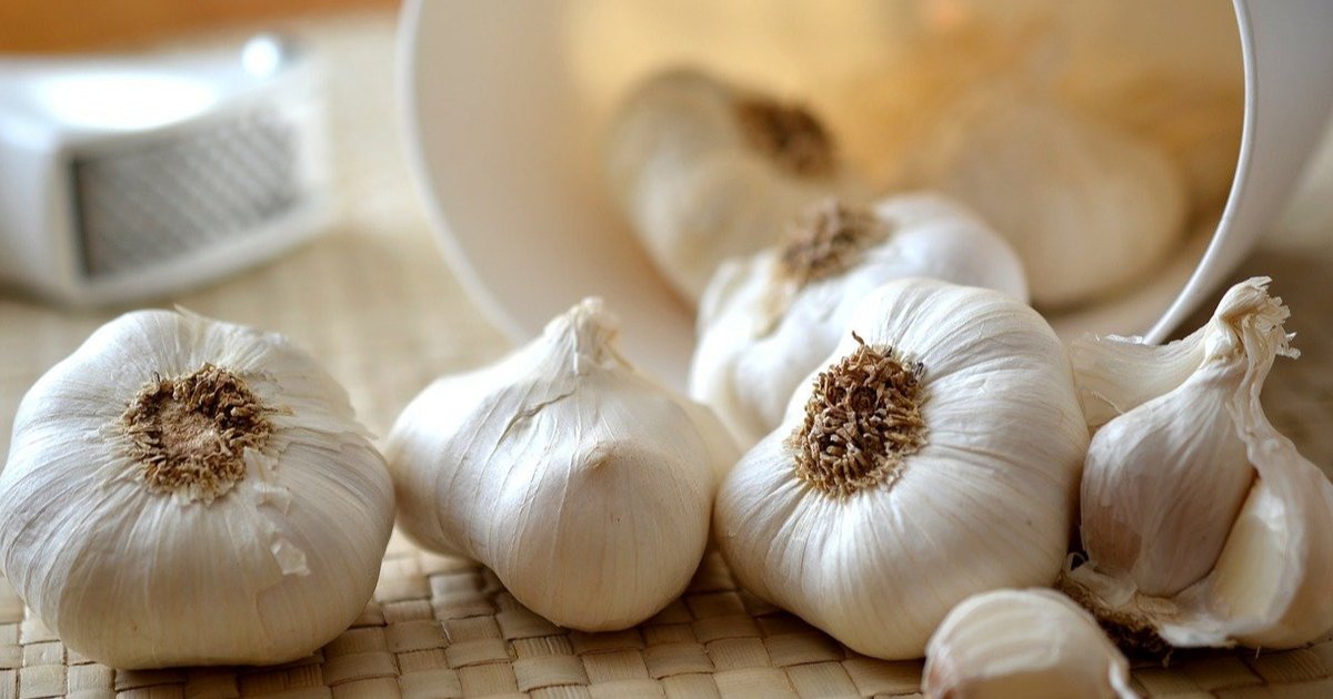 Bawang Putih: Bisa Turunkan Gula Darah? Berikut Penjelasannya untuk Kesehatan Anda