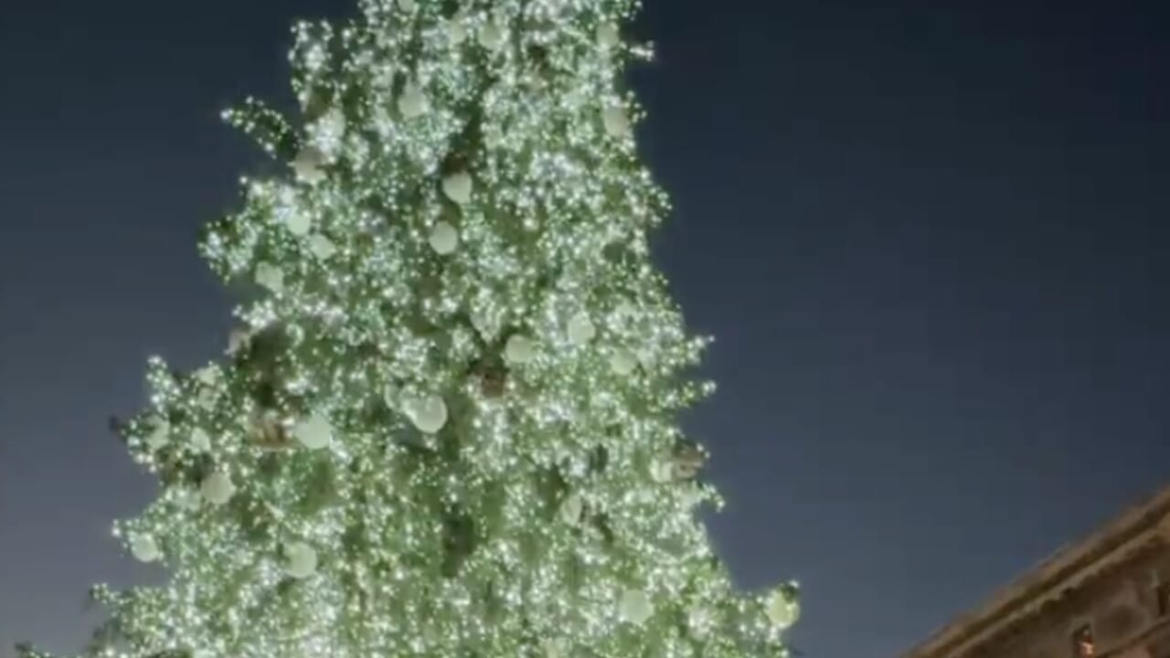 Accensione dell'Albero di Natale 2024 a Milano: il Duomo si Illumina