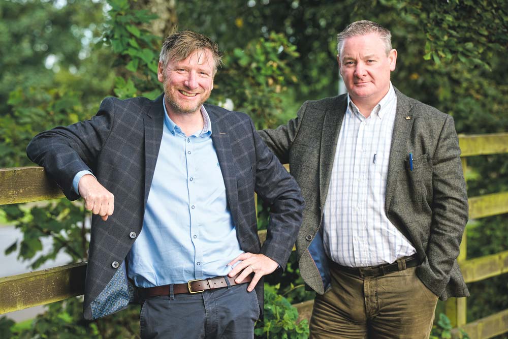 New Year, New Financial You: Top Personal Finance Tips for Irish Individuals