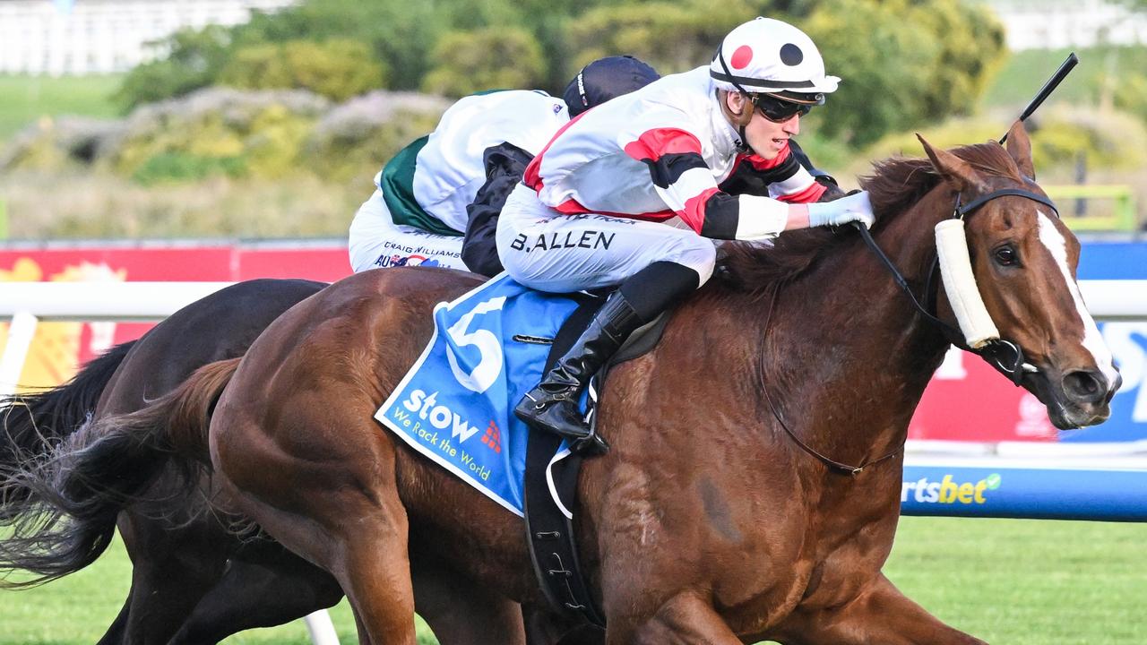 Pinstriped Set to Shine in CF Orr Stakes as Trainer Enver Jusufovic Eyes More Group 1 Glory