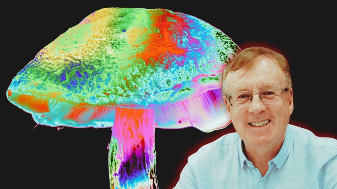 From Banking to Breakthroughs: Ex-Banker's Mushroom Journey Fuels Mental Health Startup, Malu Health