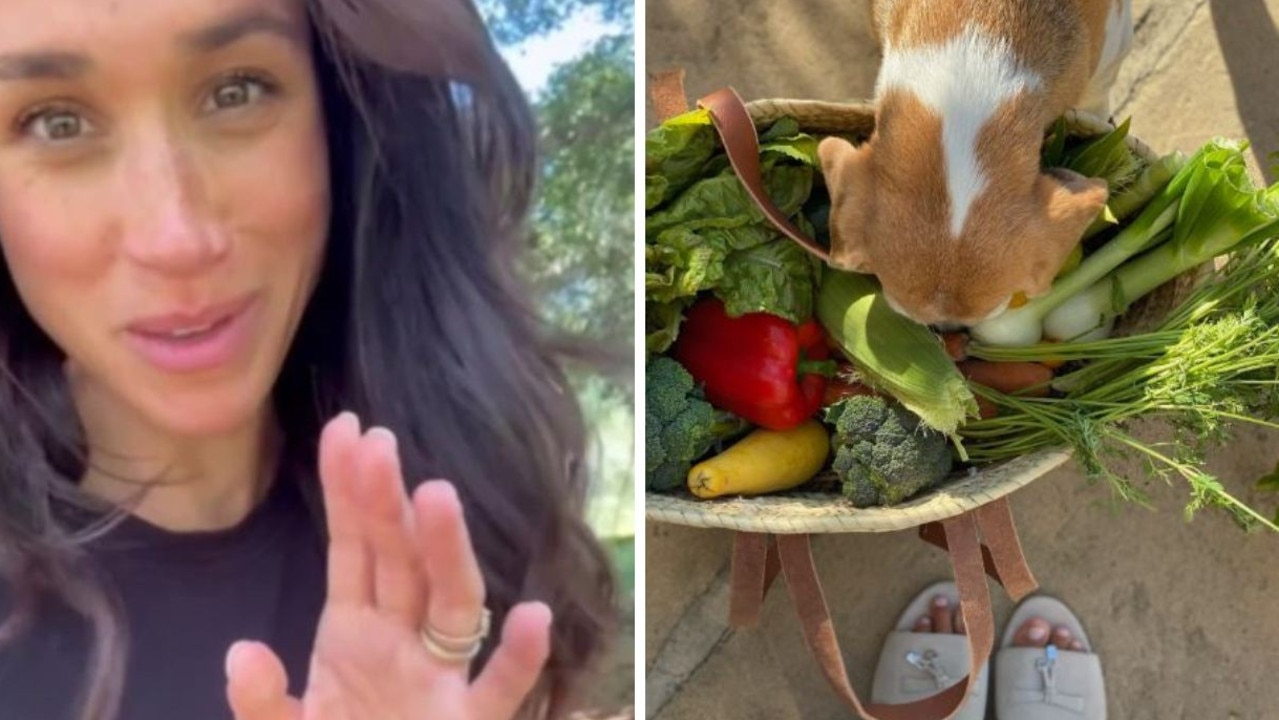 Meghan's Garden Haul Sparks Fan Debate: Did She Forget Something?