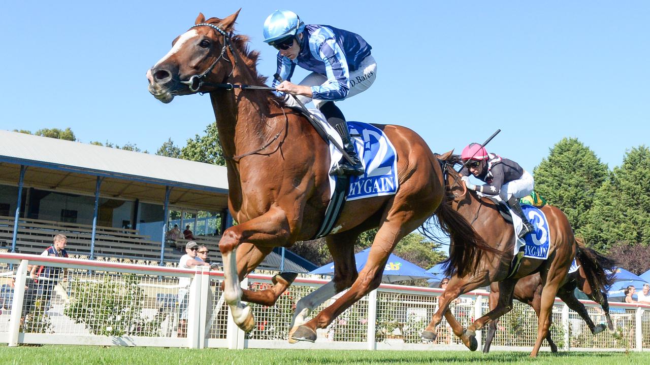 Ballarat Racing Tips: Expert Picks and Value Bets for Wednesday's Meet