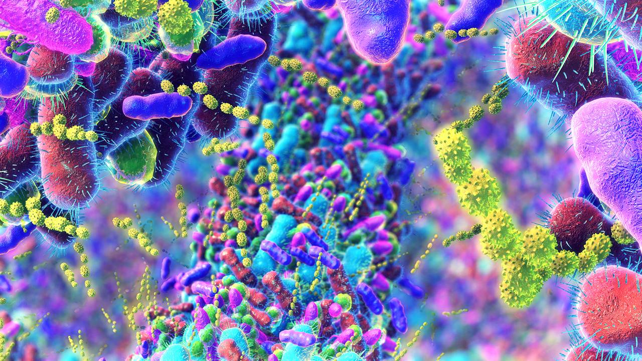 Gut Instinct: ASX health stocks tap into rising awareness of microbiome