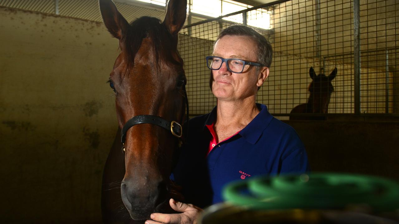 Debutant Colt Penrod Set to Shine in QTIS Jewel Prelude at Doomben Amidst Stalled Hong Kong Sale Talks