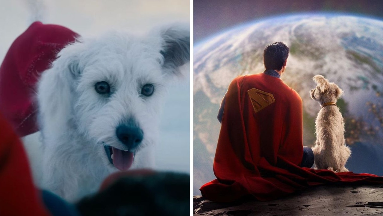 'Krypto craze': Moviegoers rush to adopt rescue pups after watching Superman