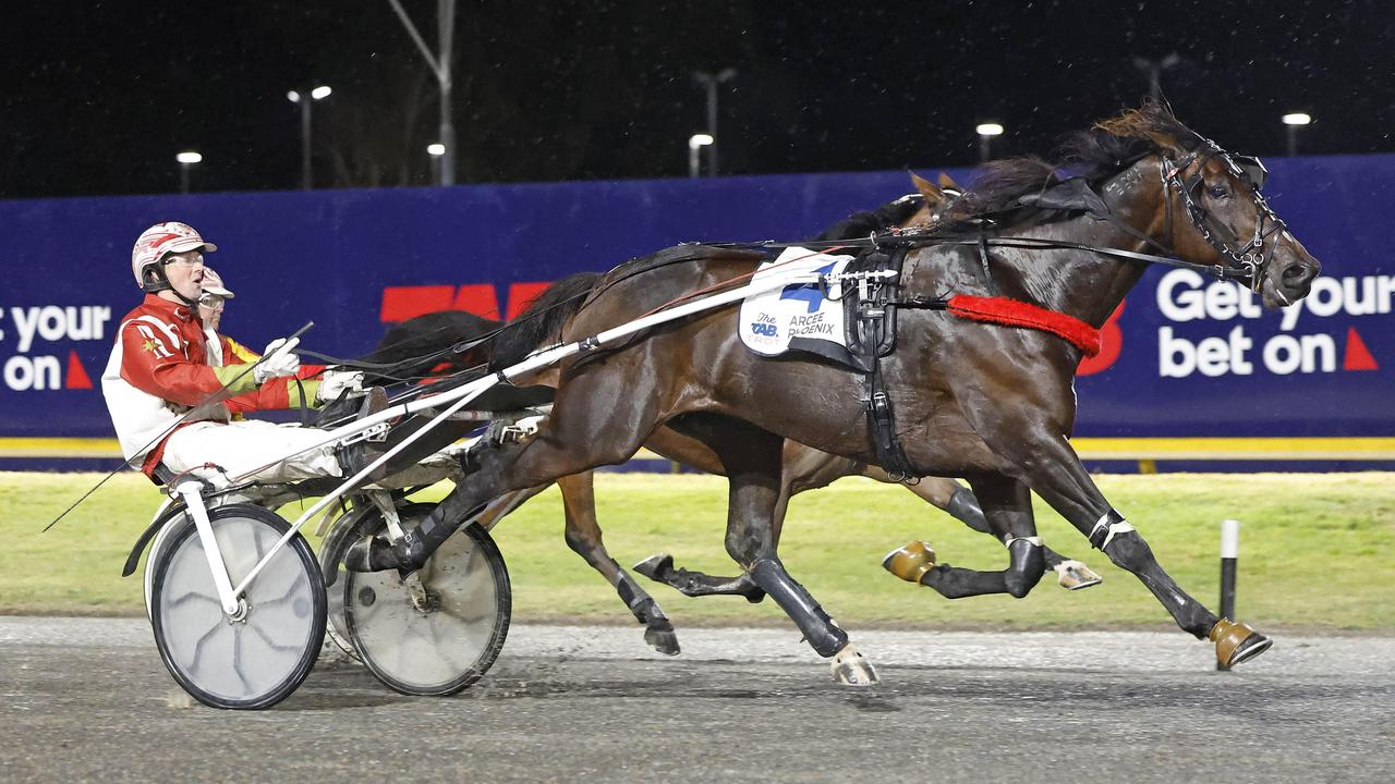 Can Arcee Phoenix Spark a New Inter Dominion Legend for Trainer Chris Svanosio?