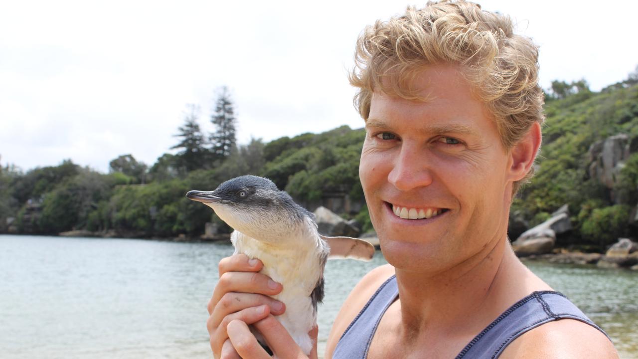 Global sales and social channels help Australian TV formats thrive