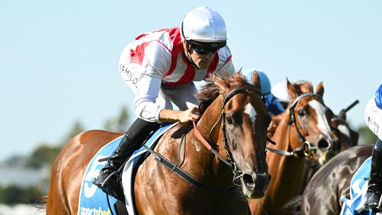 Begg Turns Focus to Nonconformist After Zloties' Racing Career Cut Short