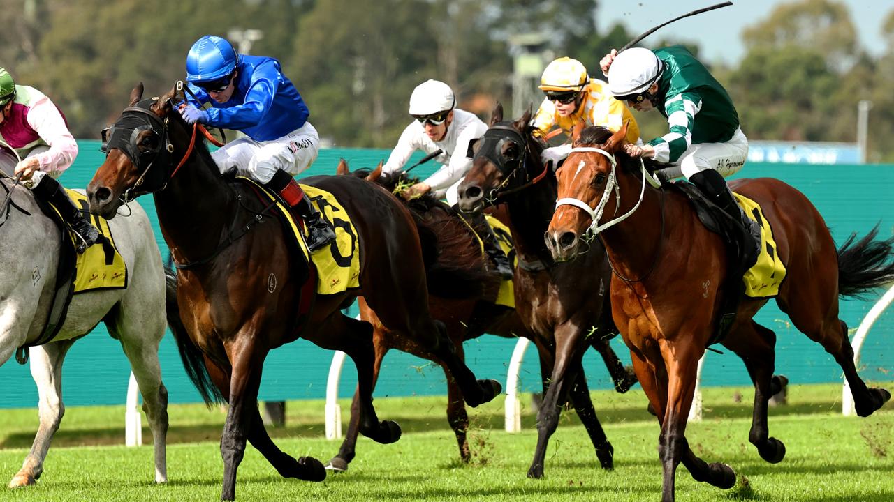 Zebra Finch Storms to Victory at Rosehill, Eyes JJ Atkins Crown!