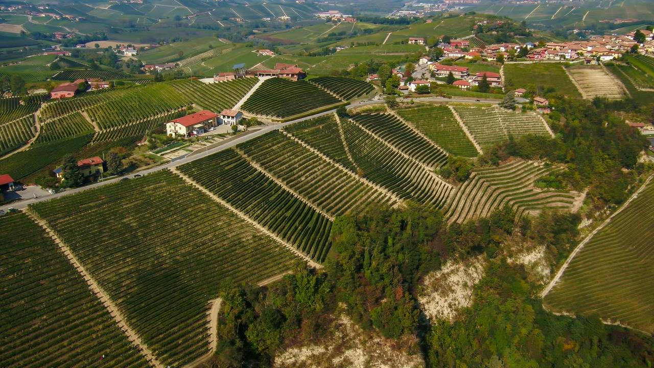 Discover Piedmont: The Ultimate Wine Destination with Nick Ryan
