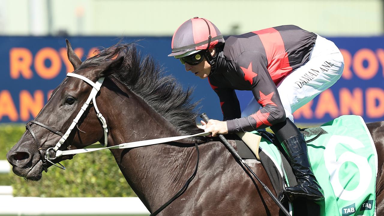 Royal Randwick Recap: Mitch Cohen's Top 5 Picks to Watch