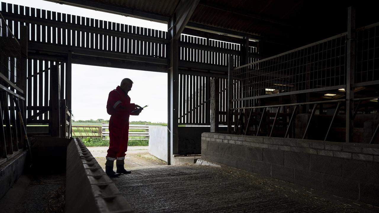 Singapore Farmers Face Mental Health Crisis: Droughts & Floods Double Suicide Risk