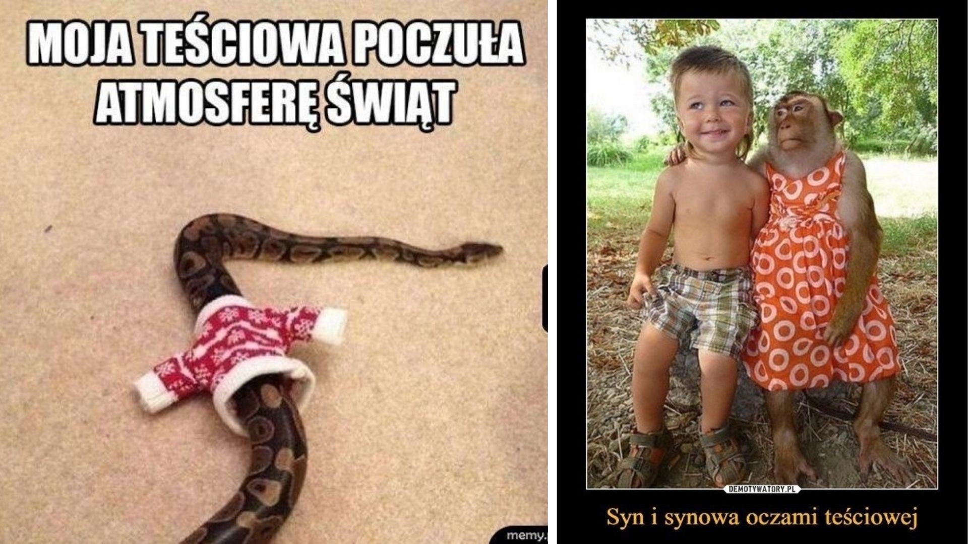Dzień Teściowej: Najlepsze memy, które pokazują ich prawdziwe oblicze!