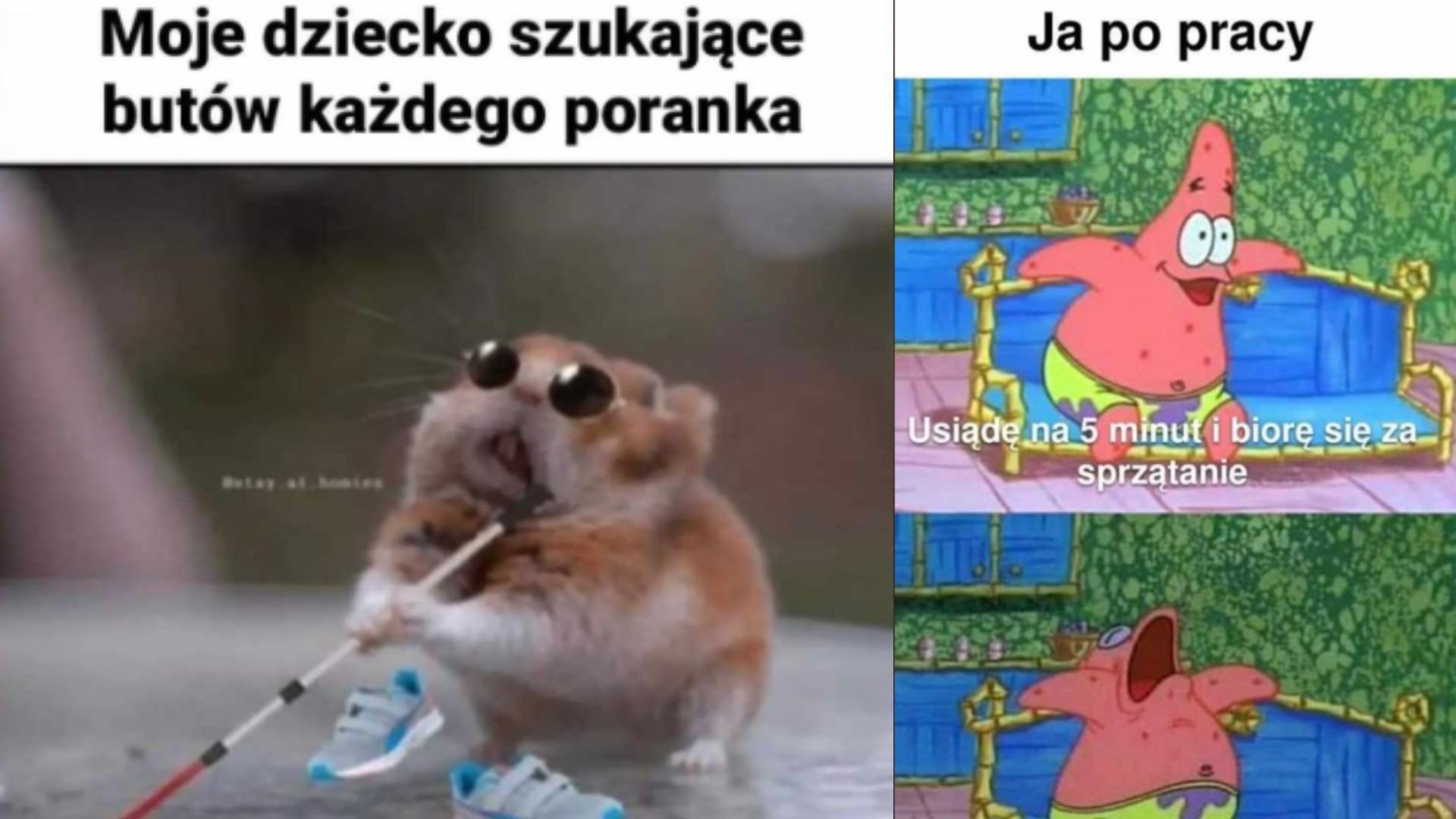 Najśmieszniejsze Memy 2025: Śmiej Się do Łez z Najlepszymi Życiowymi Prawdami!