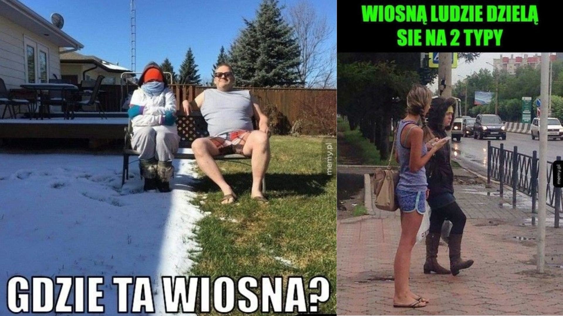 Wiosenne memy, które rozśmieszą każdego! Oto najlepsze żarty o wiośnie