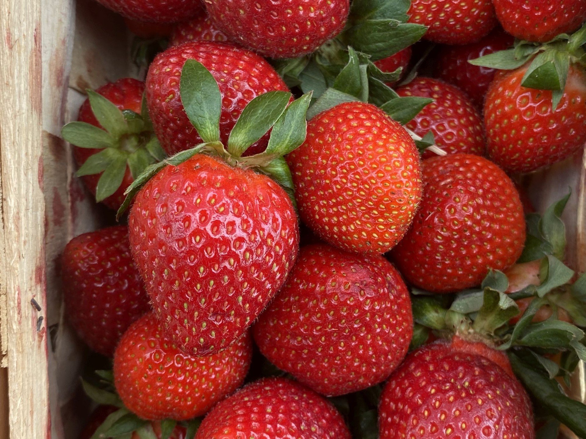Tych leków nie łącz z truskawkami. Tak to połączenie może wpłynąć na nasze zdrowie [4.06.25]