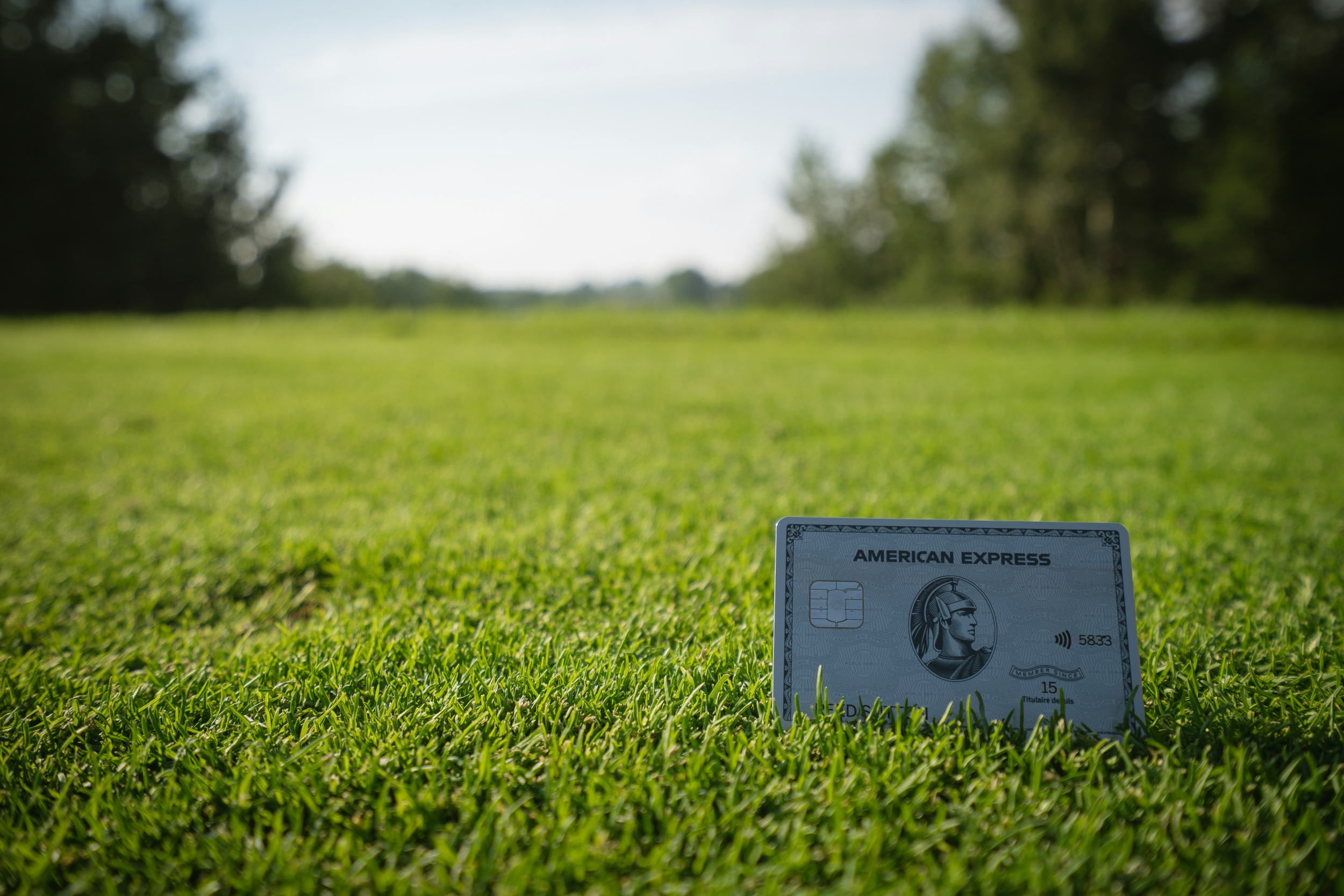 Amex Platinum Card: Is It Worth the Effort? Credit Score, Fees, and Exclusive Perks Explained