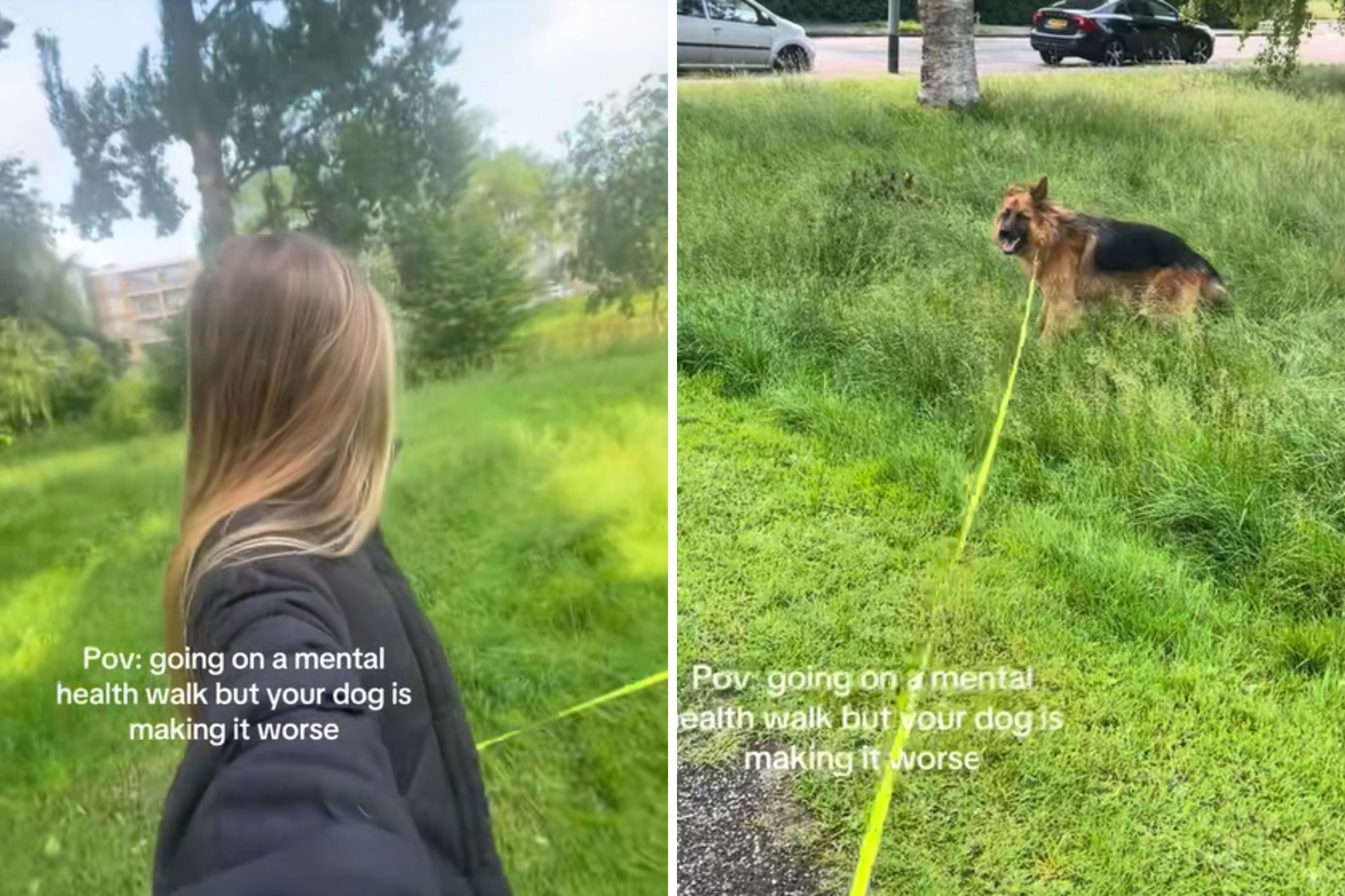 Unexpected Adventure! Woman's Mental Health Walk Turns Hilarious Thanks to Her Dog