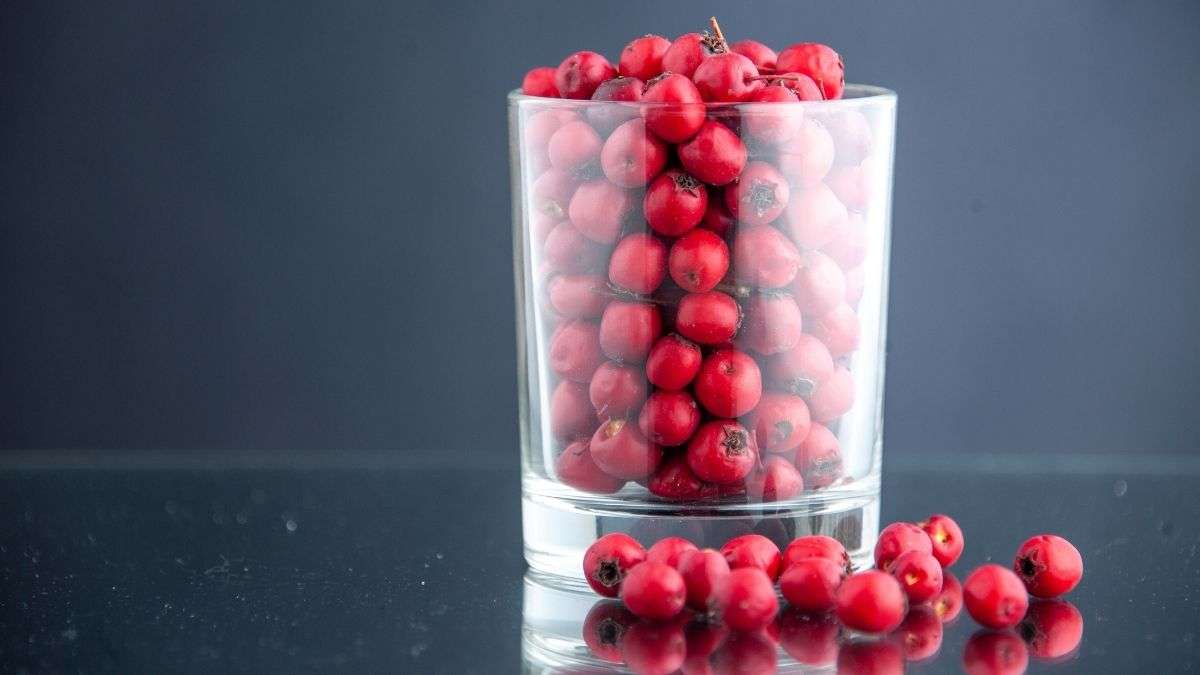 Arándanos rojos, el suplemento que previene las infecciones urinarias, mejora la circulación y la salud visual